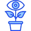 Vision